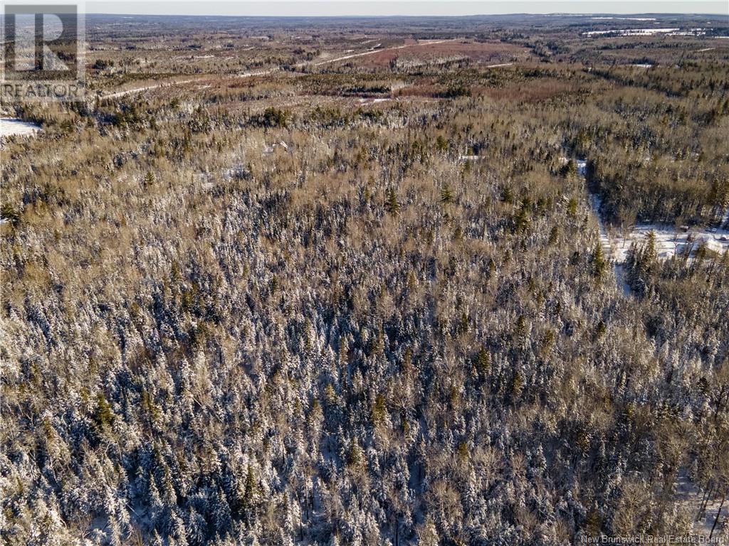 Lot Thorne Brook Road, Havelock, New Brunswick  E4Z 0C5 - Photo 32 - NB111625