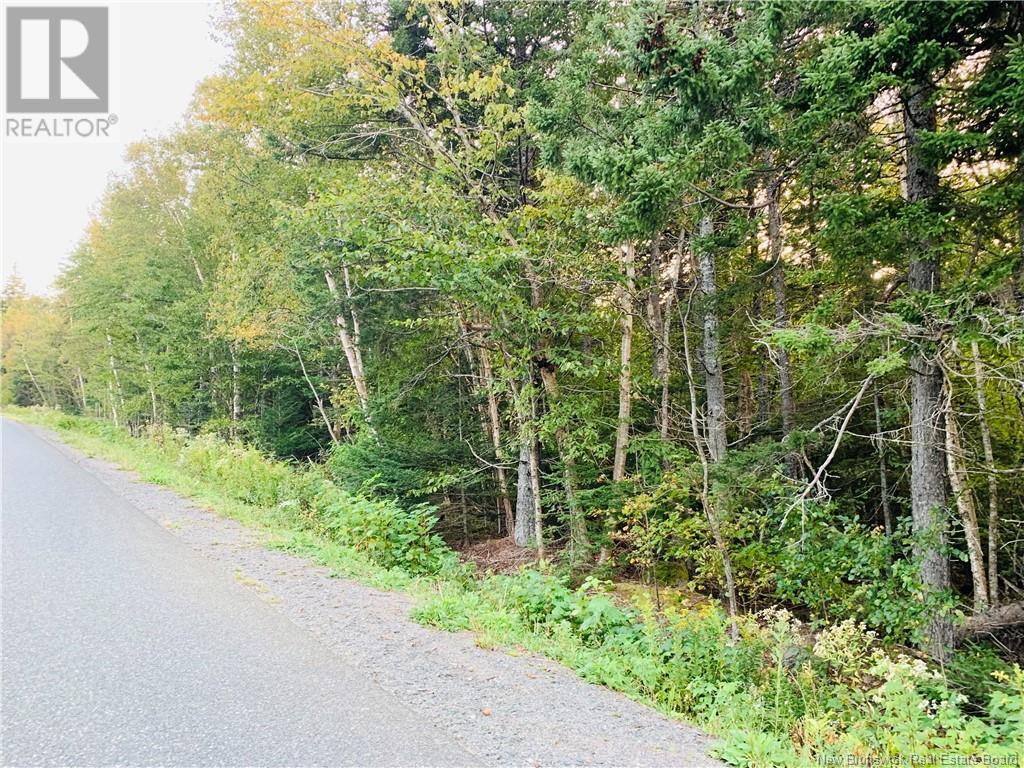 85-41 and 85-42 Bunker Hill Road, Wilsons Beach, New Brunswick