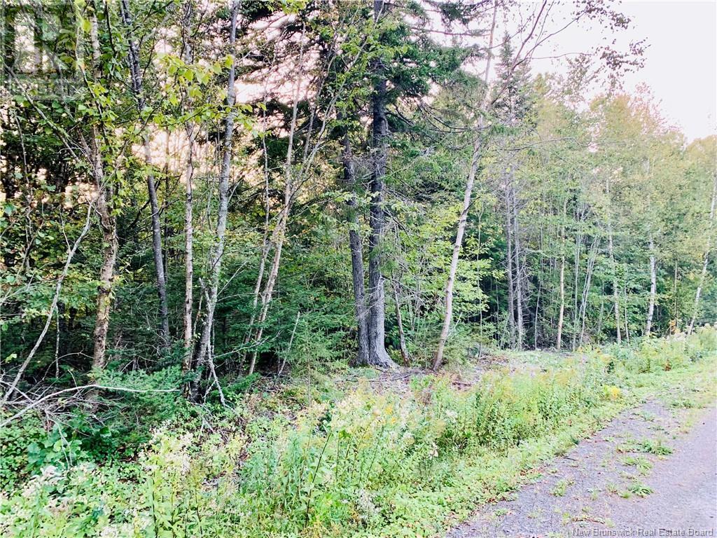 85-41 And 85-42 Bunker Hill Road, Wilsons Beach, New Brunswick  E5E 1M3 - Photo 2 - NB111658