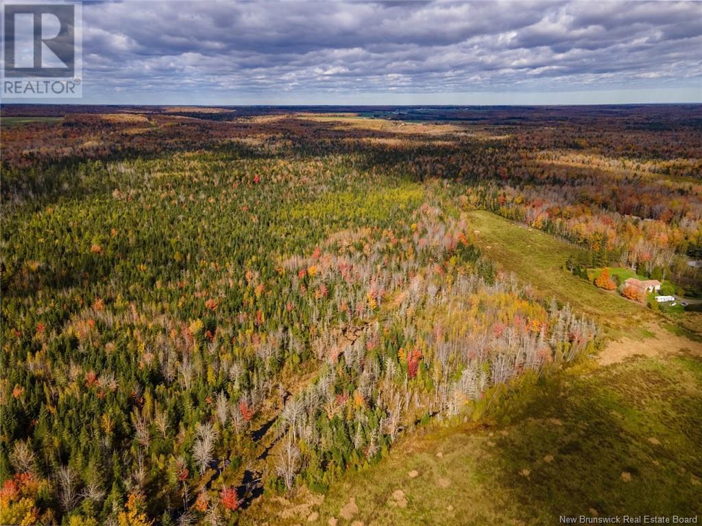 Lot Maclean Crossroad, Irishtown, New Brunswick  E1H 1R6 - Photo 5 - NB111895