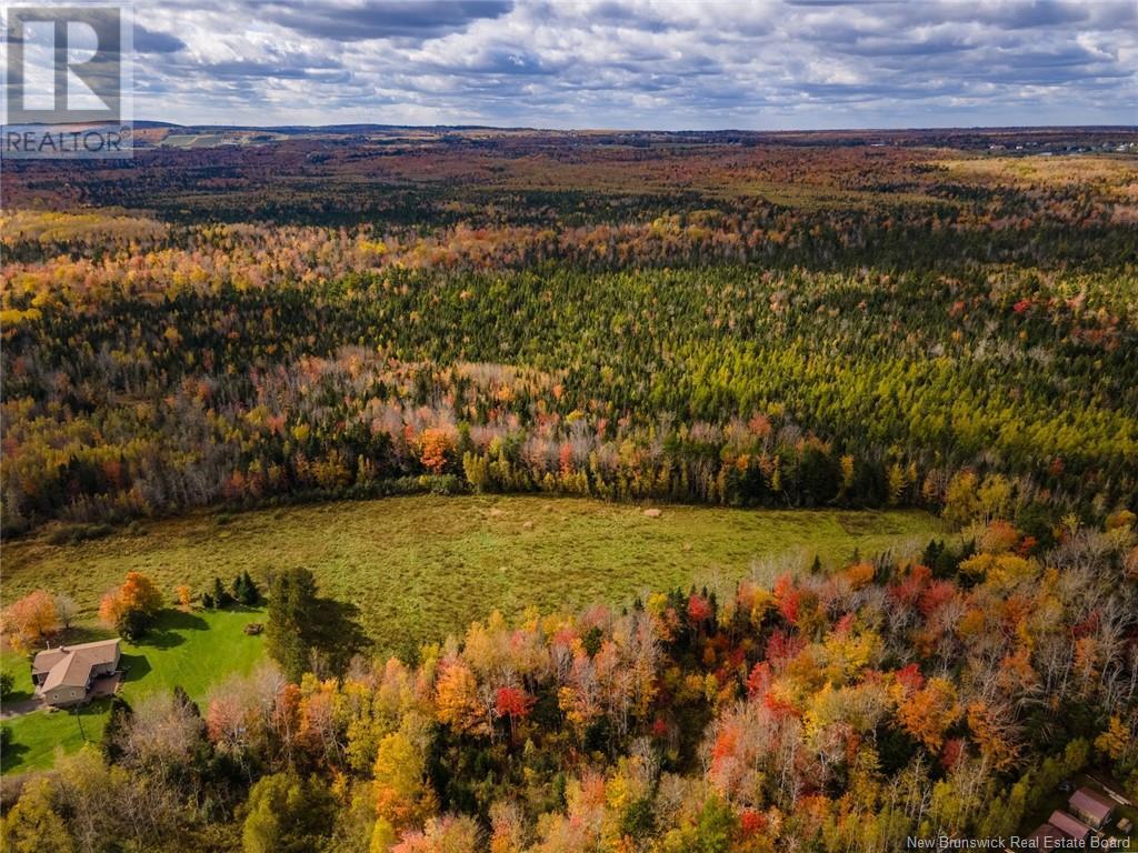 Lot Maclean Crossroad, Irishtown, New Brunswick  E1H 1R6 - Photo 8 - NB111895