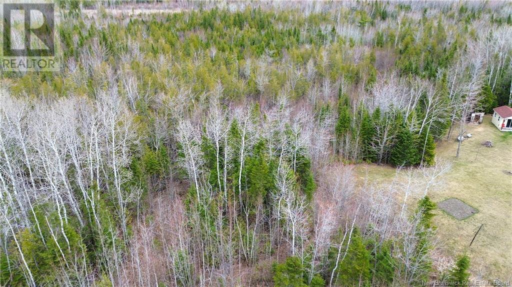 Na Morrison, Beresford, New Brunswick  E8K 2H8 - Photo 10 - NB111914