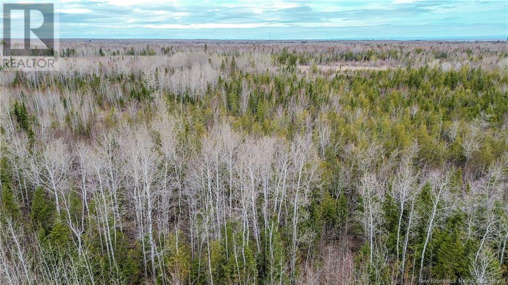Na Morrison, Beresford, New Brunswick  E8K 2H8 - Photo 11 - NB111914