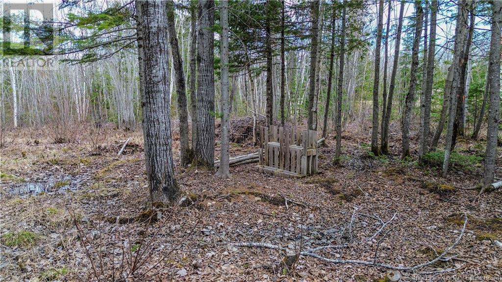 Na Morrison, Beresford, New Brunswick  E8K 2H8 - Photo 2 - NB111914
