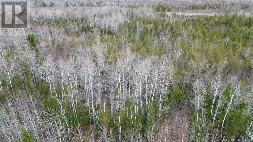 Na Morrison, Beresford, New Brunswick  E8K 2H8 - Photo 3 - NB111914