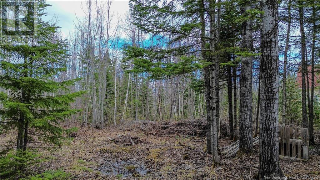 Na Morrison, Beresford, New Brunswick  E8K 2H8 - Photo 4 - NB111914