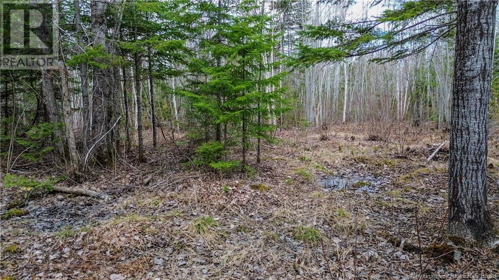 Na Morrison, Beresford, New Brunswick  E8K 2H8 - Photo 6 - NB111914