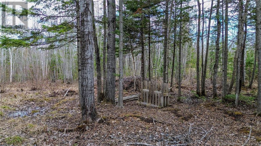 Na Morrison, Beresford, New Brunswick  E8K 2H8 - Photo 7 - NB111914