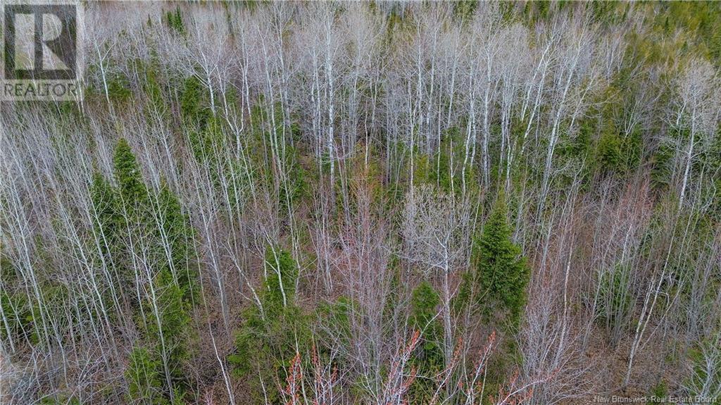 Na Morrison, Beresford, New Brunswick  E8K 2H8 - Photo 8 - NB111914