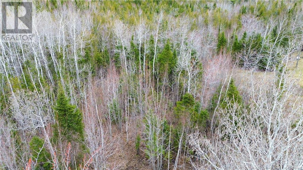 Na Morrison, Beresford, New Brunswick  E8K 2H8 - Photo 9 - NB111914