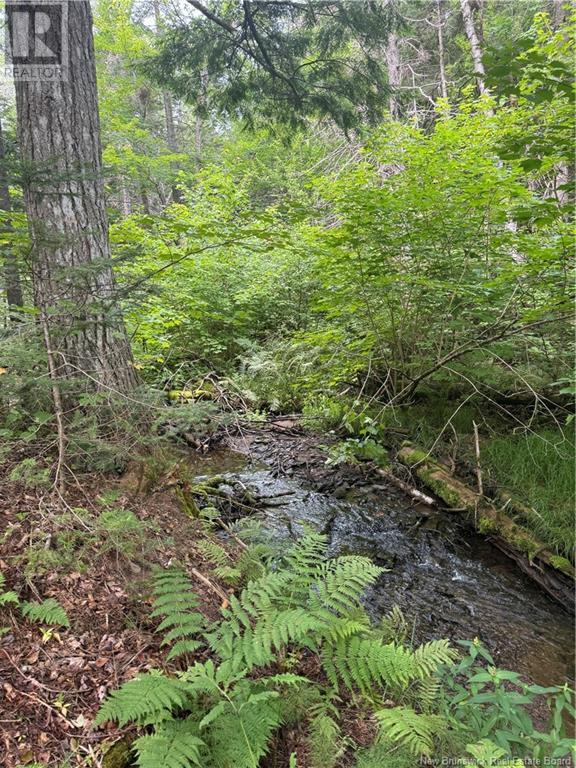 Lot Des Gallant, Saint-Ignace, New Brunswick  E4X 2E3 - Photo 5 - NB111997