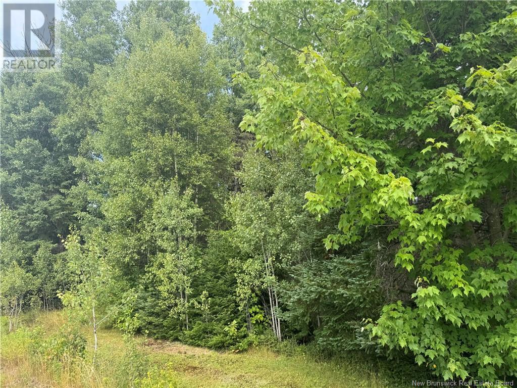 Lot Des Gallant, Saint-Ignace, New Brunswick  E4X 2E3 - Photo 8 - NB111997