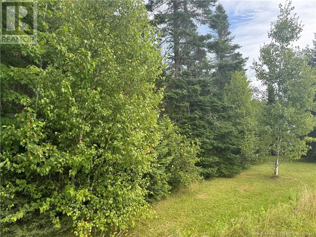 Lot Des Gallant, Saint-Ignace, New Brunswick  E4X 2E3 - Photo 9 - NB111997