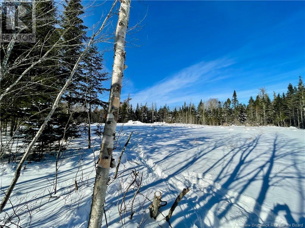 Lot Fairfield, Sackville, New Brunswick  E4L 2X5 - Photo 11 - NB112168