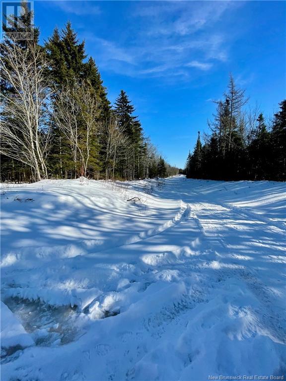 Lot Fairfield, Sackville, New Brunswick  E4L 2X5 - Photo 5 - NB112168