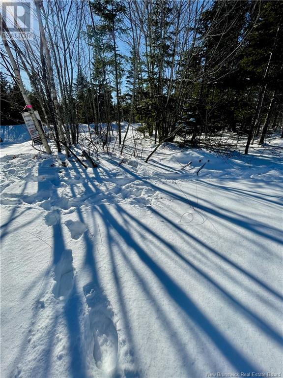 Lot Fairfield, Sackville, New Brunswick  E4L 2X5 - Photo 7 - NB112168