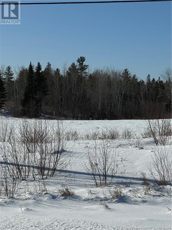 Lot D Route 134, Kouchibouguac, New Brunswick  E4X 1N5 - Photo 2 - NB112251