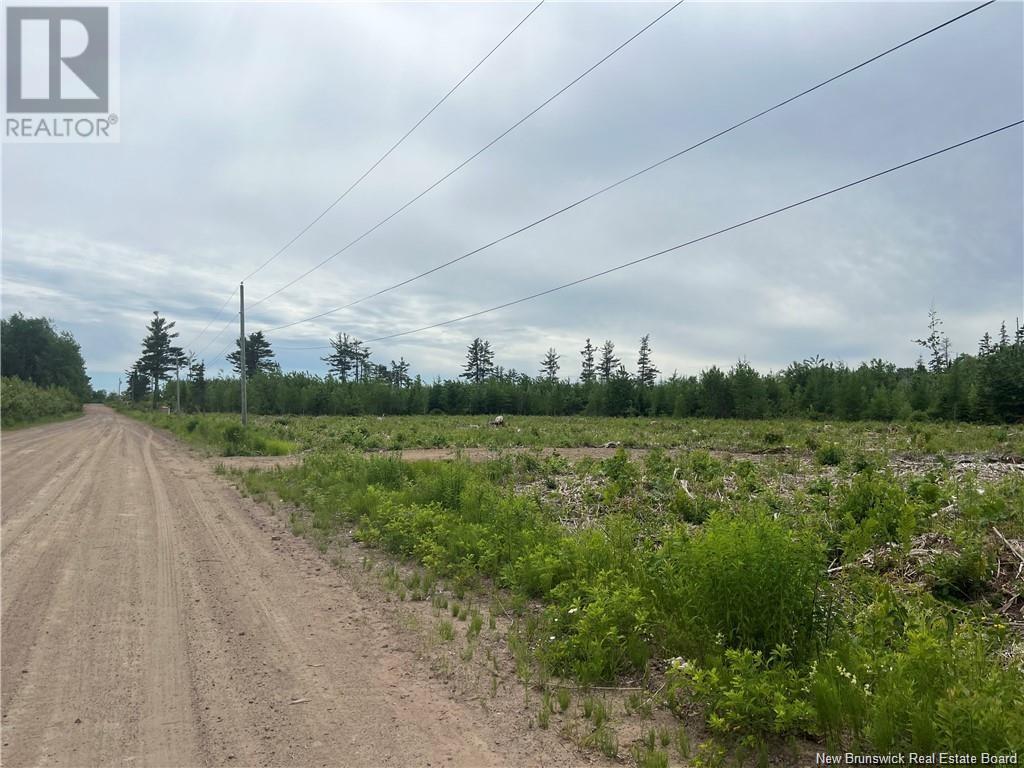 Lot 24-1 Hannay Road, Galloway, New Brunswick  E4W 2M4 - Photo 10 - NB111536
