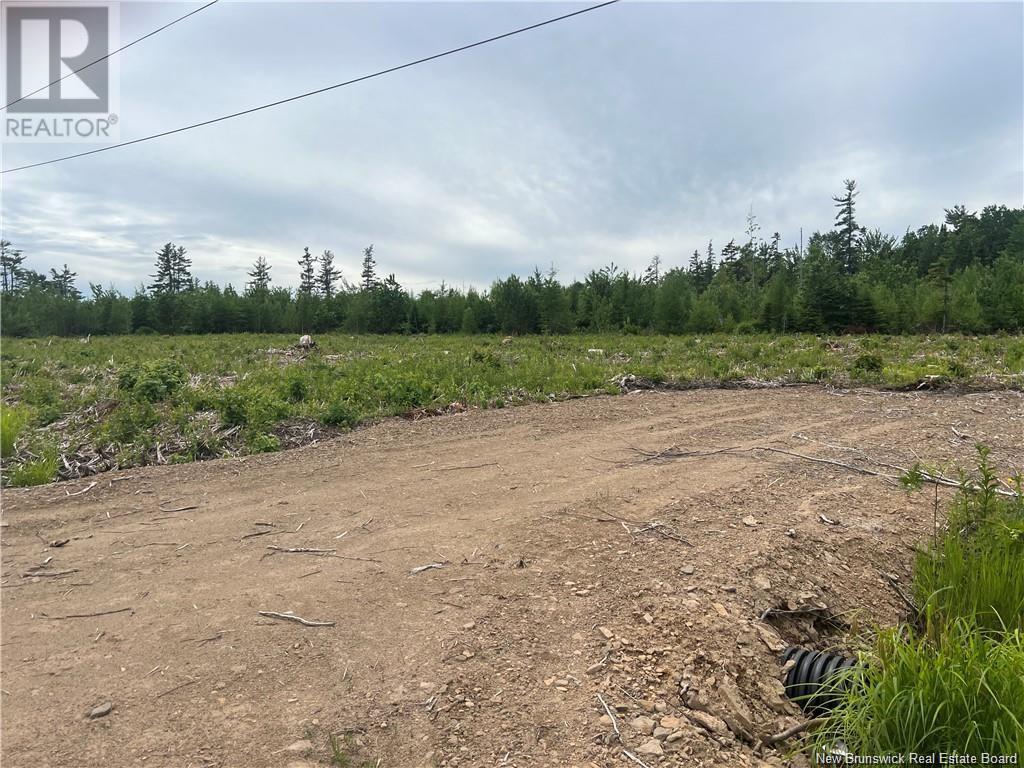 Lot 24-1 Hannay Road, Galloway, New Brunswick  E4W 2M4 - Photo 11 - NB111536
