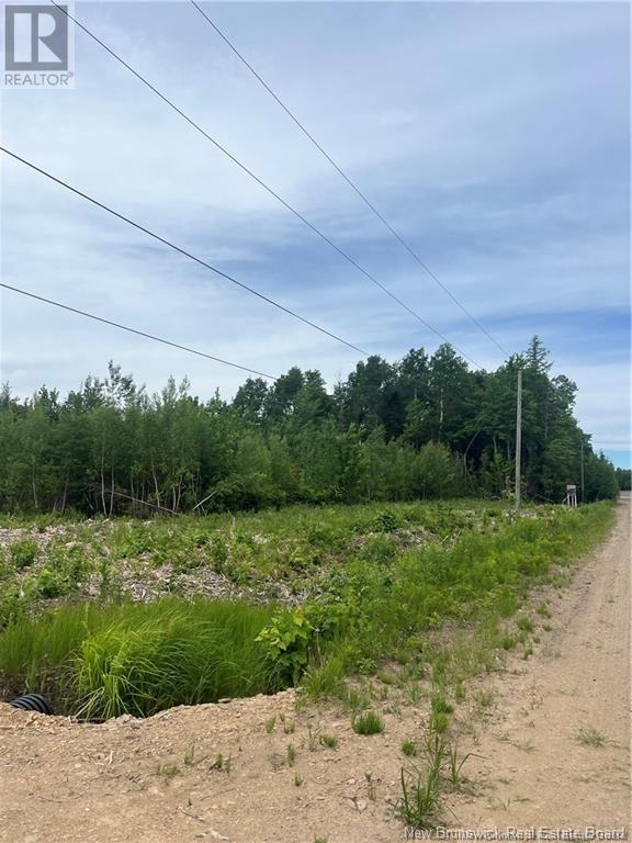 Lot 24-1 Hannay Road, Galloway, New Brunswick  E4W 2M4 - Photo 12 - NB111536