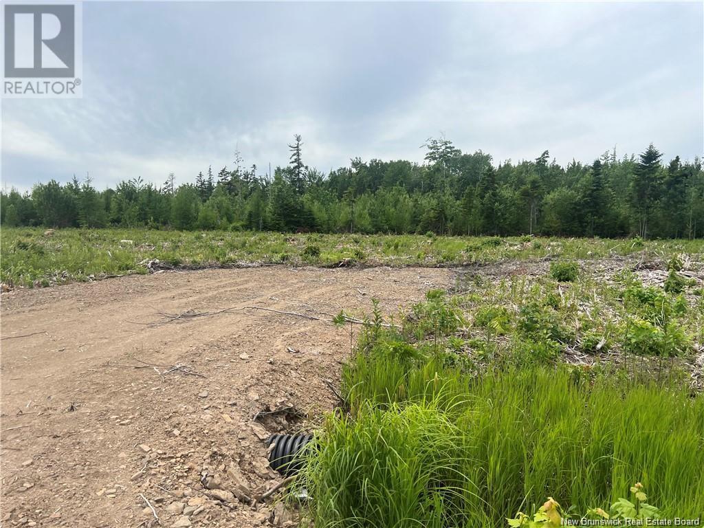 Lot 24-1 Hannay Road, Galloway, New Brunswick  E4W 2M4 - Photo 8 - NB111536