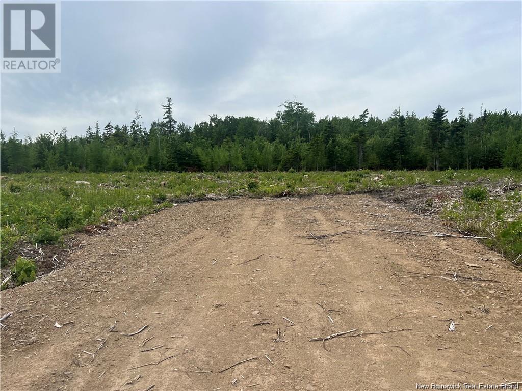 Lot 24-1 Hannay Road, Galloway, New Brunswick  E4W 2M4 - Photo 9 - NB111536