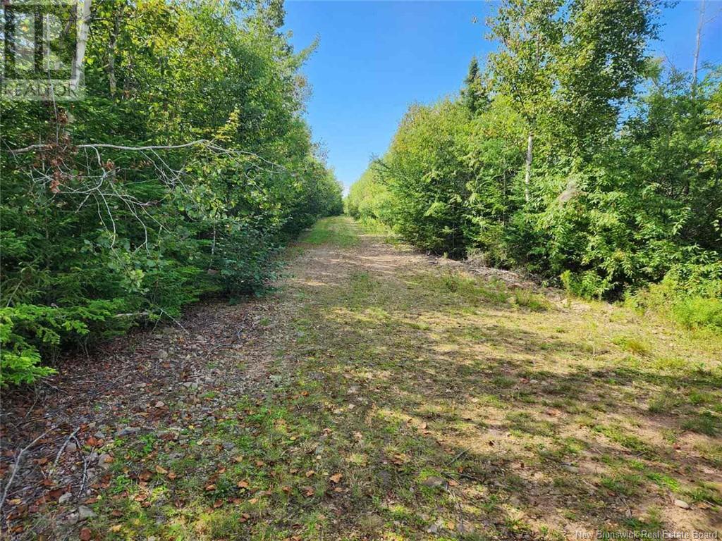 2 Chignecto Lane, Wood Point, New Brunswick
