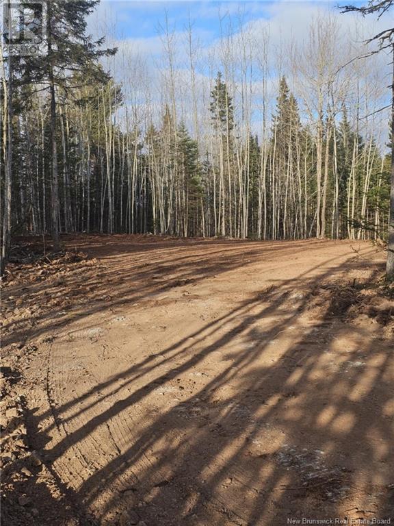 Lot 04-17 Sunset View Lane, Cumberland Bay, New Brunswick  E4A 0A2 - Photo 2 - NB112517