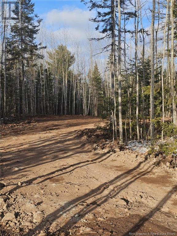 Lot 04-17 Sunset View Lane, Cumberland Bay, New Brunswick  E4A 0A2 - Photo 3 - NB112517