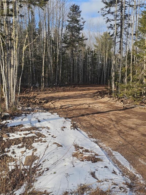 Lot 04-17 Sunset View Lane, Cumberland Bay, New Brunswick  E4A 0A2 - Photo 4 - NB112517