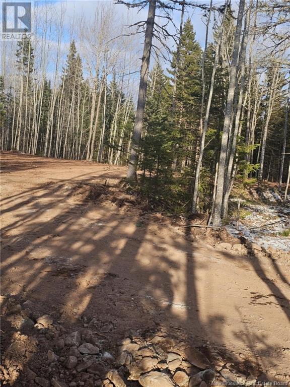 Lot 04-17 Sunset View Lane, Cumberland Bay, New Brunswick  E4A 0A2 - Photo 5 - NB112517