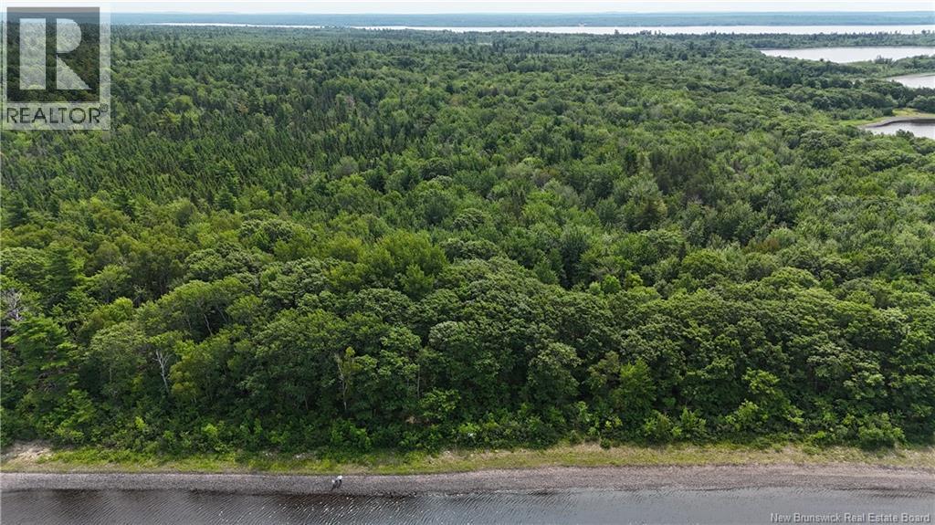 Lot Cox Point Road, Cumberland Bay, New Brunswick  E4A 2Y5 - Photo 18 - NB112479