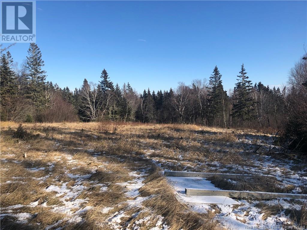 Lot 23-1 Route 114, Hopewell Hill, New Brunswick  E4H 3J3 - Photo 4 - NB112639