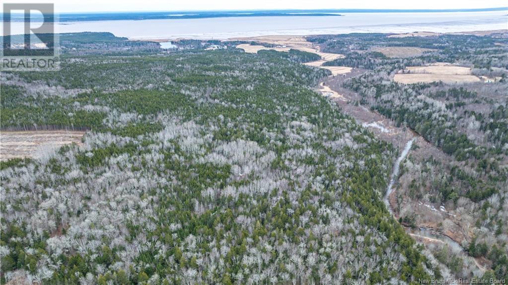 4396 Route 114, Lower Cape, New Brunswick  E4H 3P3 - Photo 35 - NB112720