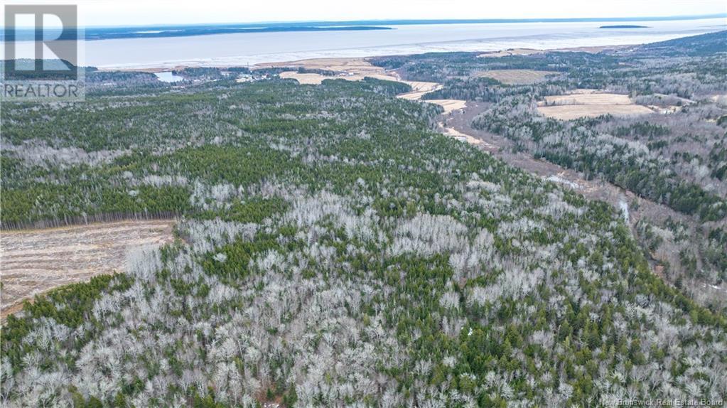 4396 Route 114, Lower Cape, New Brunswick  E4H 3P3 - Photo 36 - NB112720