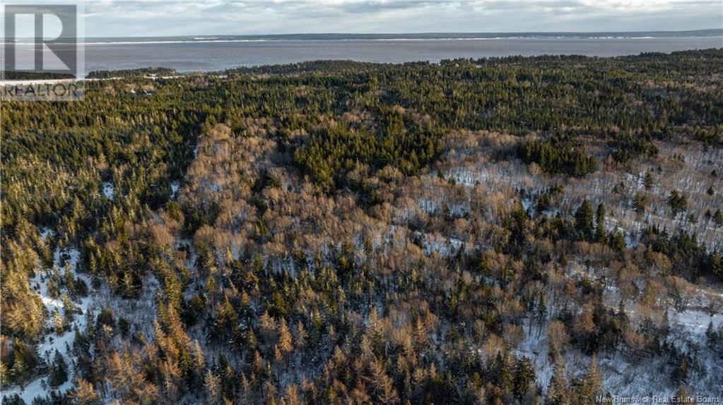 0 Route 915, New Horton, New Brunswick  E4H 1W5 - Photo 8 - NB112745