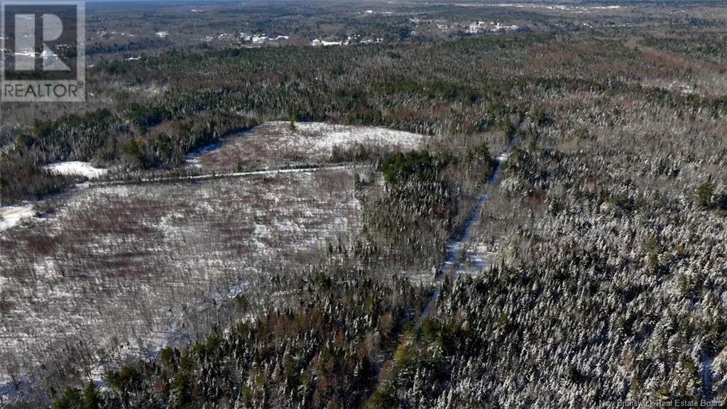 Lot Pleasant Drive, Minto, New Brunswick  E4B 2V4 - Photo 10 - NB112810