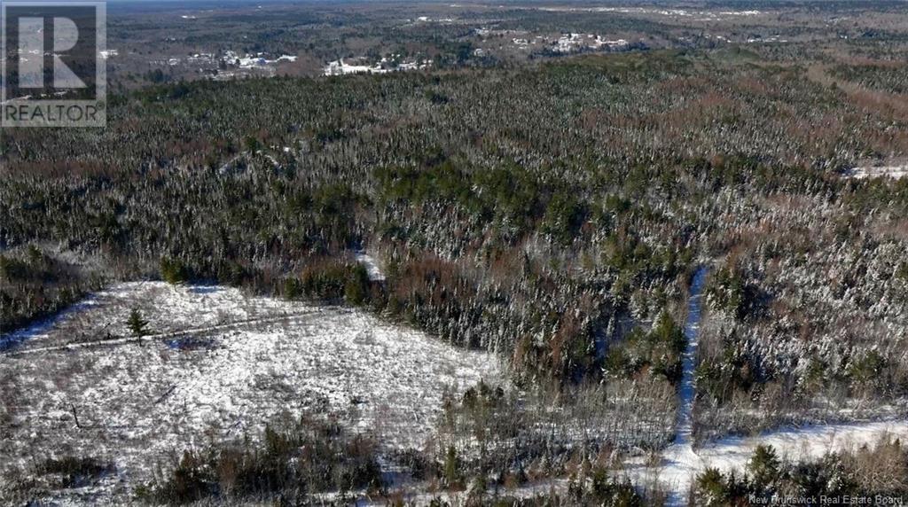 Lot Pleasant Drive, Minto, New Brunswick  E4B 2V4 - Photo 11 - NB112810