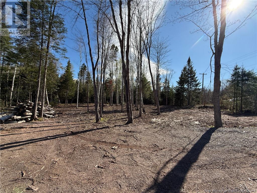 Lot 04-2 Route 690, Flowers Cove, New Brunswick  E4B 2E6 - Photo 10 - NB112803