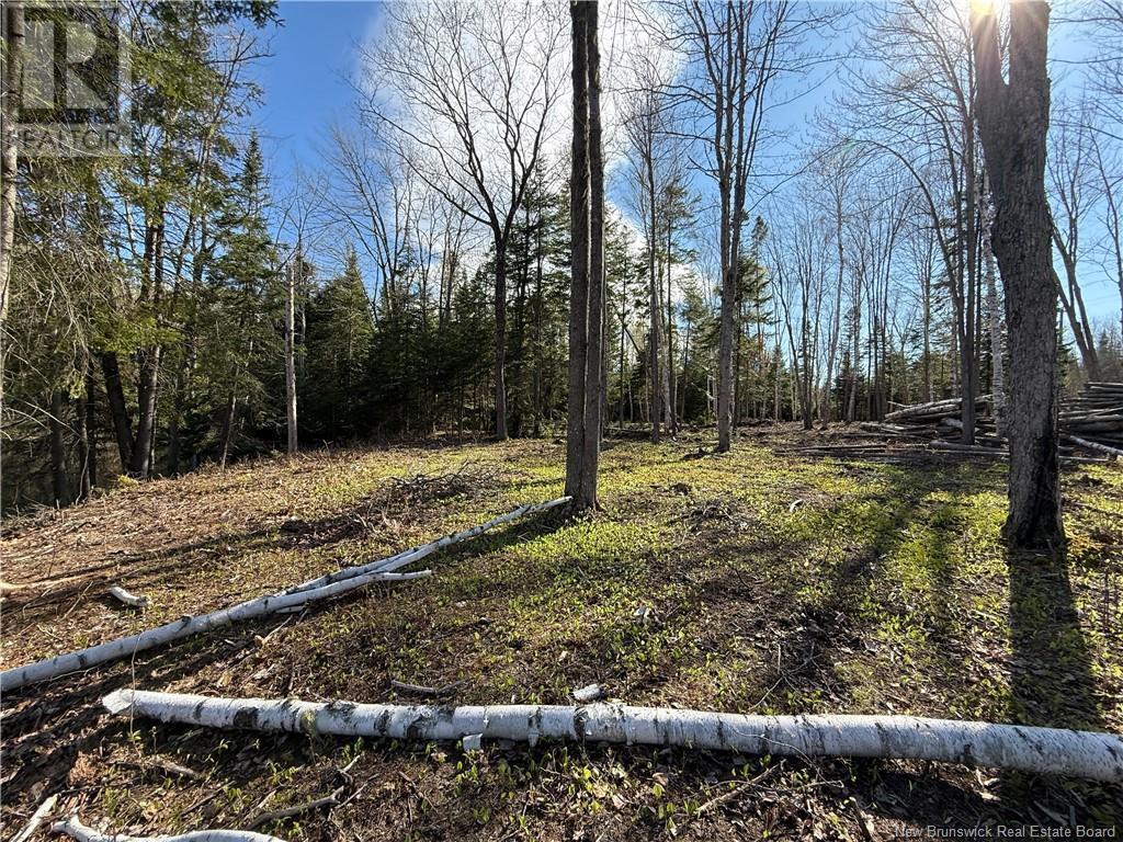 Lot 04-2 Route 690, Flowers Cove, New Brunswick  E4B 2E6 - Photo 11 - NB112803