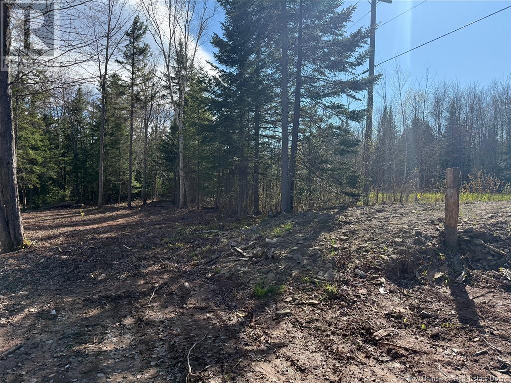 Lot 04-2 Route 690, Flowers Cove, New Brunswick  E4B 2E6 - Photo 12 - NB112803