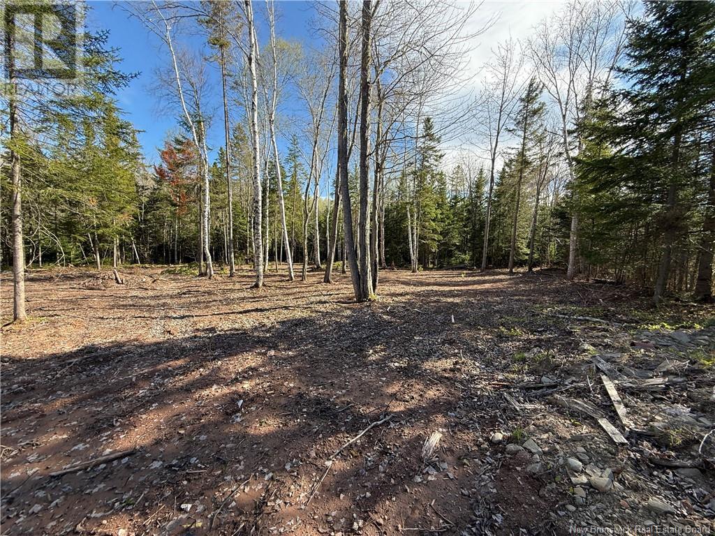 Lot 04-2 Route 690, Flowers Cove, New Brunswick  E4B 2E6 - Photo 13 - NB112803