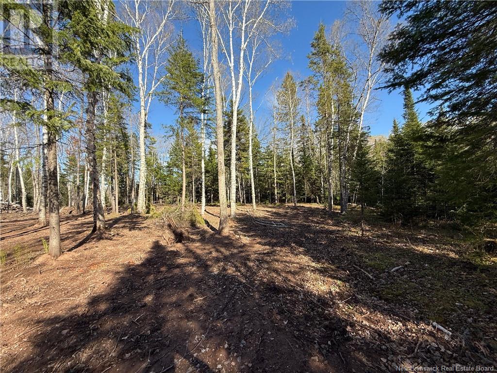 Lot 04-2 Route 690, Flowers Cove, New Brunswick  E4B 2E6 - Photo 14 - NB112803