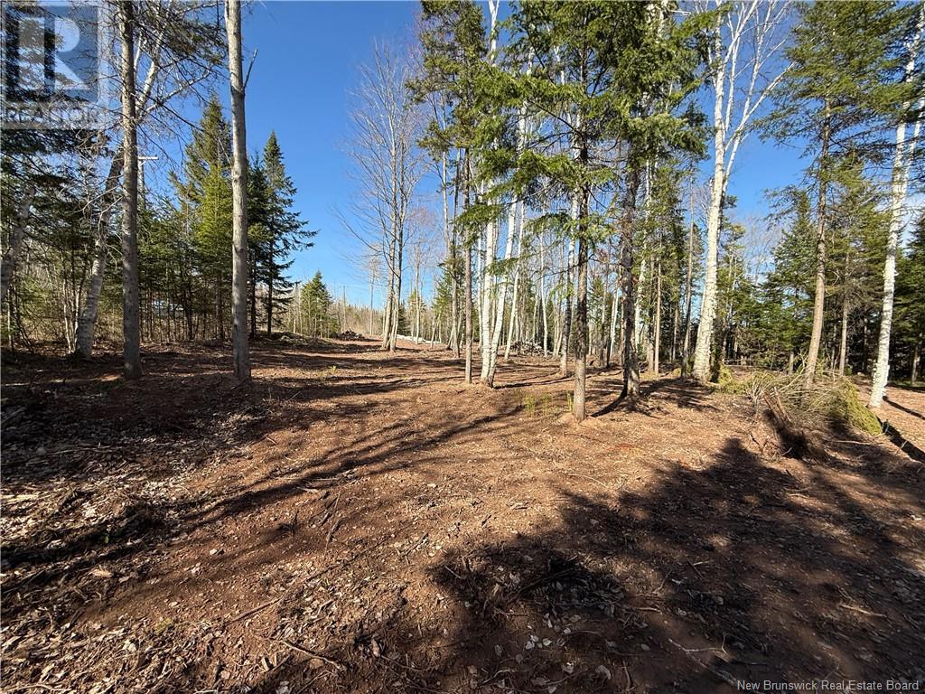 Lot 04-2 Route 690, Flowers Cove, New Brunswick  E4B 2E6 - Photo 15 - NB112803