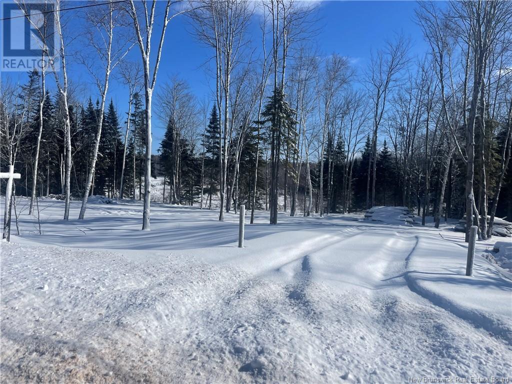 Lot 04-2 Route 690, Flowers Cove, New Brunswick  E4B 2E6 - Photo 25 - NB112803