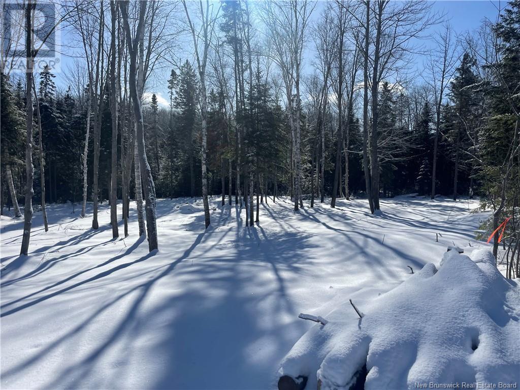 Lot 04-2 Route 690, Flowers Cove, New Brunswick  E4B 2E6 - Photo 26 - NB112803