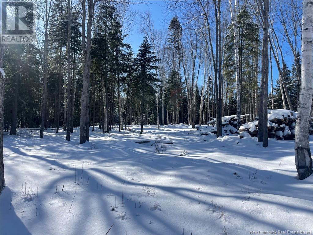 Lot 04-2 Route 690, Flowers Cove, New Brunswick  E4B 2E6 - Photo 27 - NB112803