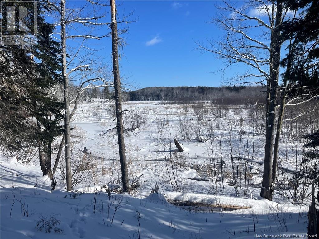 Lot 04-2 Route 690, Flowers Cove, New Brunswick  E4B 2E6 - Photo 28 - NB112803