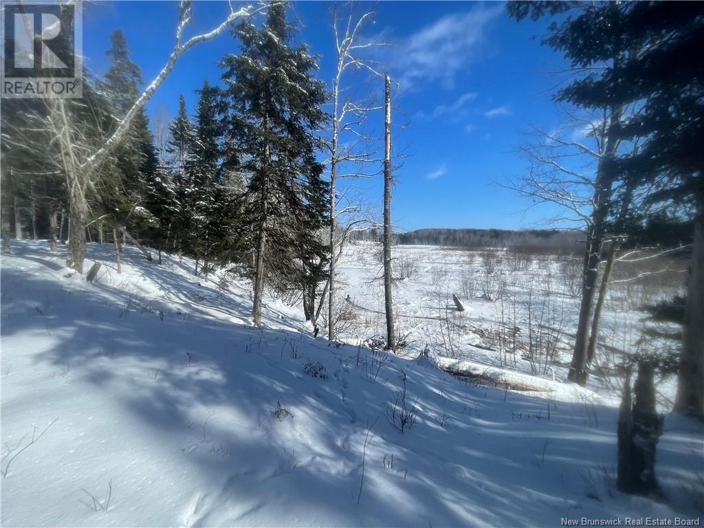 Lot 04-2 Route 690, Flowers Cove, New Brunswick  E4B 2E6 - Photo 29 - NB112803