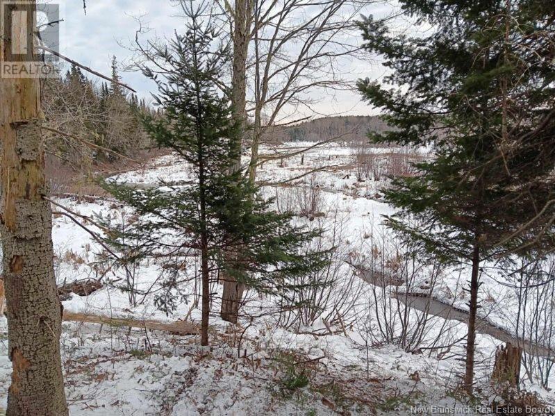 Lot 04-2 Route 690, Flowers Cove, New Brunswick  E4B 2E6 - Photo 30 - NB112803